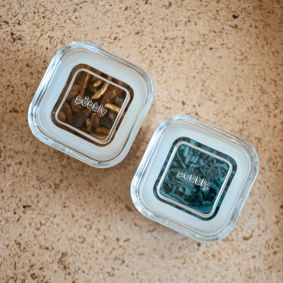 Set of 2 glass spice jars