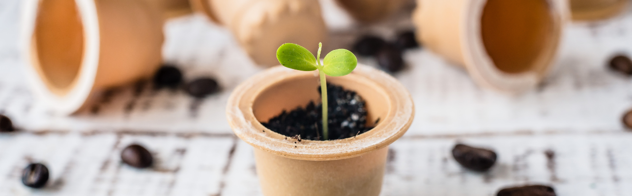 À quelle Fréquence Vider son Seau à Compost et Comment l'Entretenir ?