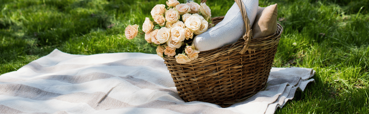 How can you plan a modern picnic with Pebbly?