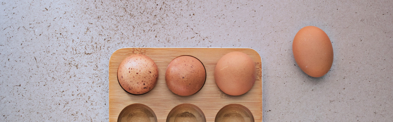 Comment conserver ses œufs ?
