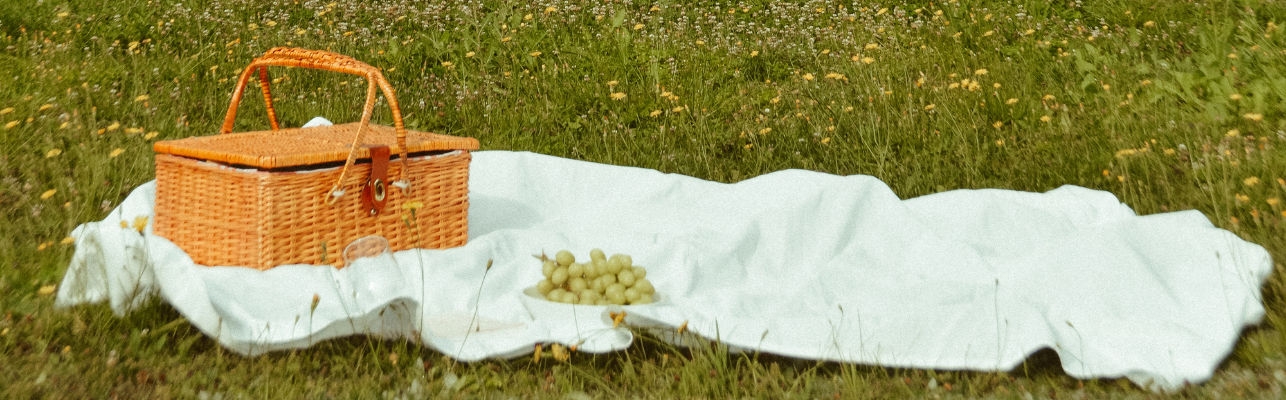 Comment Organiser un Pique-Nique Zéro Déchet ?