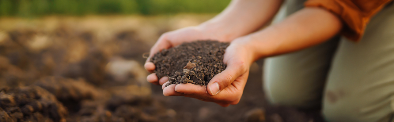 Printemps, compost et zéro déchet, les clés pour une transition réussie avec Pebbly !