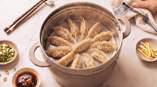 Gyozas, ravioles japonaises aux légumes